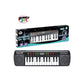 P.Joy Music Keyboard 24Keys with Mic Battery Operated