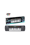 P.Joy Music Keyboard 24Keys with Mic Battery Operated