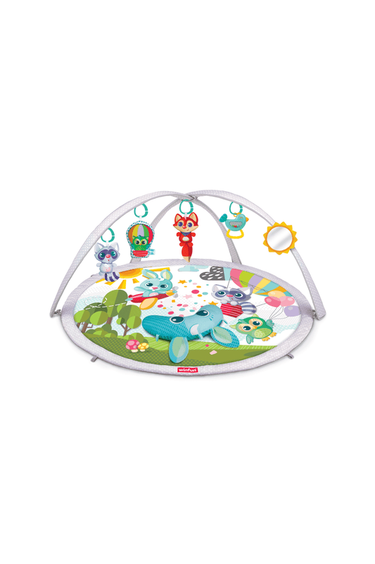 Babyspace Activity Gym