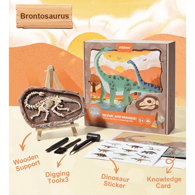 Dig A Dinosaur Kit - Brontosaurus