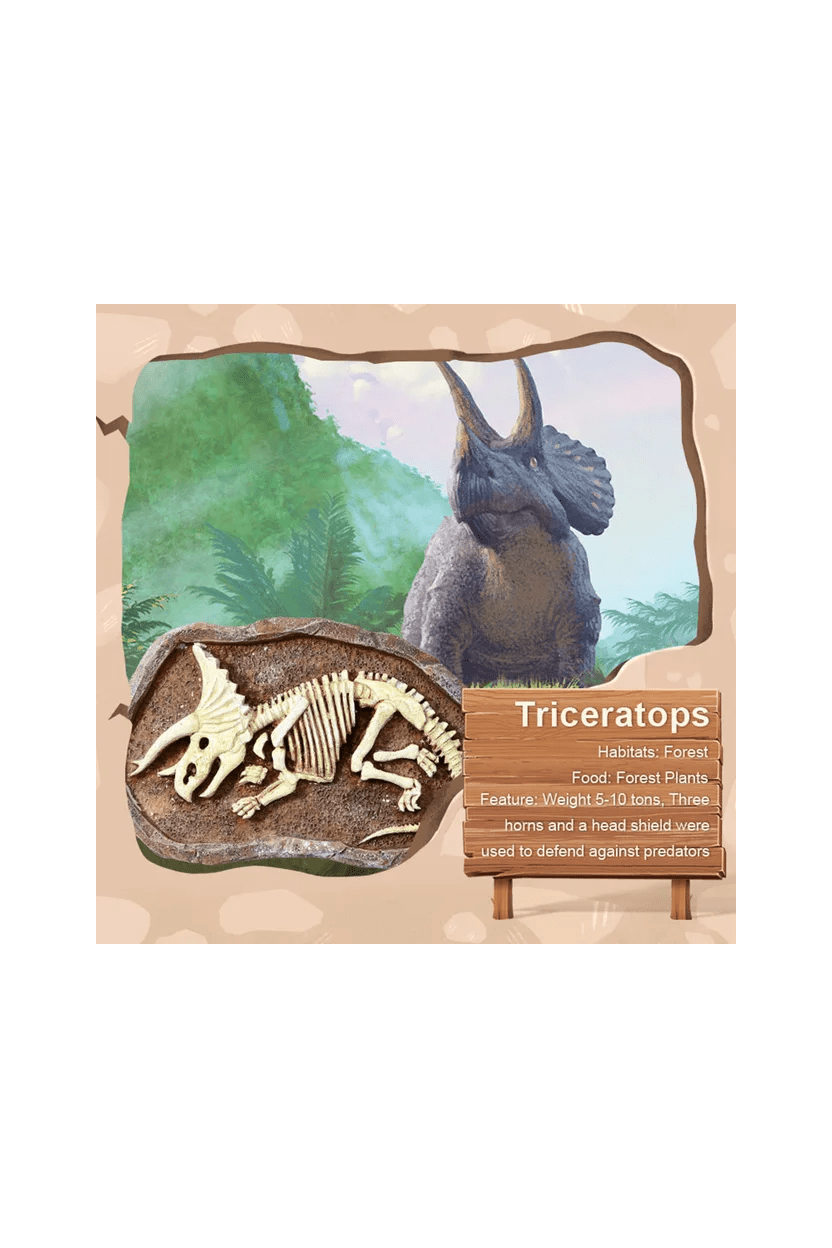 Dig A Dinosaur Kit - Triceratops