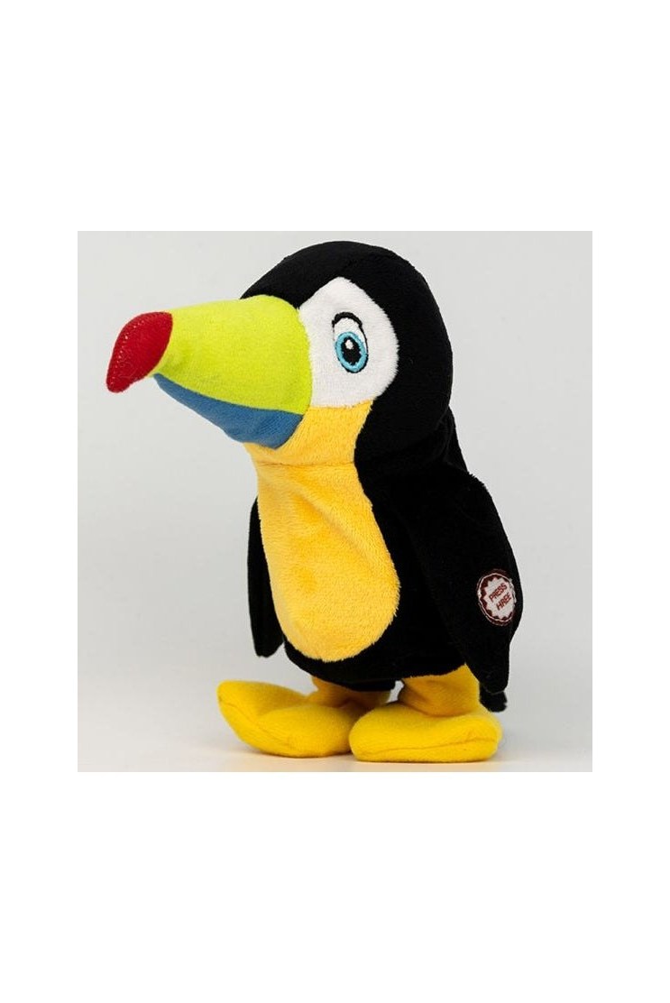 Coco The Talking Toucan